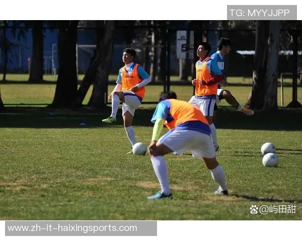 足球运动员的成长之路与职业生涯发展探讨 足球运动员的成长之路与职业生涯发展探讨